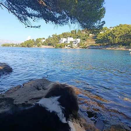 La Petite Maison Сasa de vacaciones Splitska