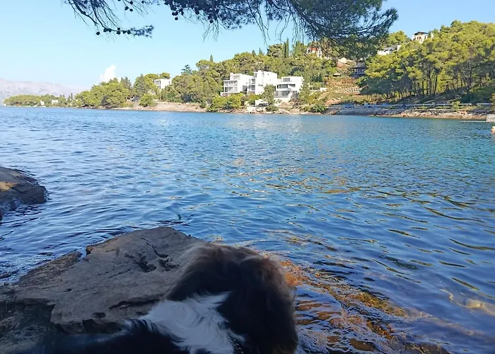 La Petite Maison 度假居 斯普利特卡